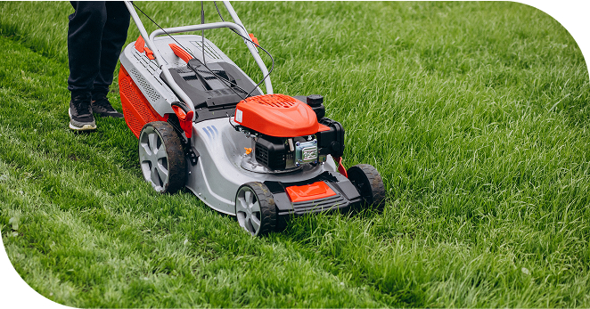 Clone of Pirmasis įrašas