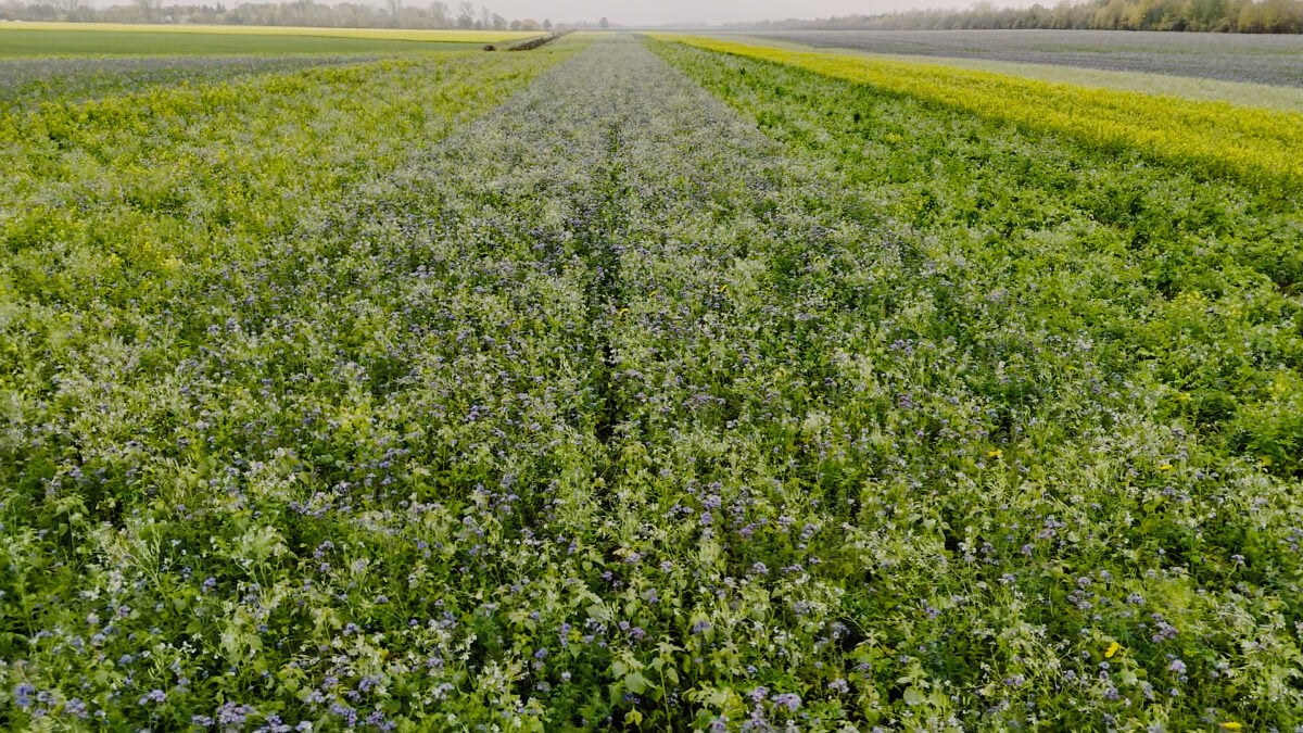 Dji 0097.07 07 11 31.still060