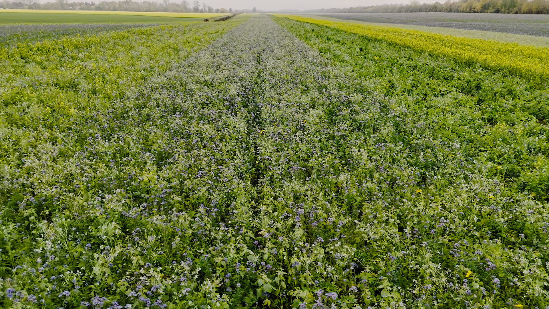 Dji 0097.07 07 11 31.still060