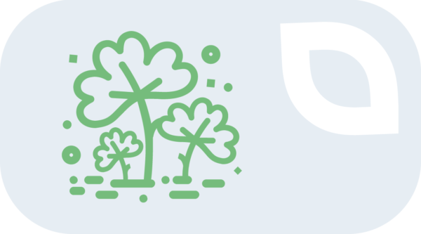 Pašarinių žolių sėklos