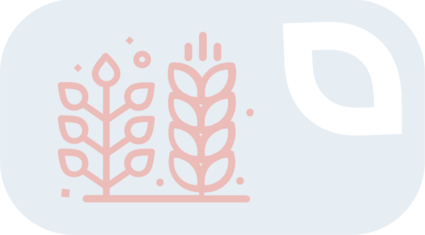 Vasarinių augalų veislės