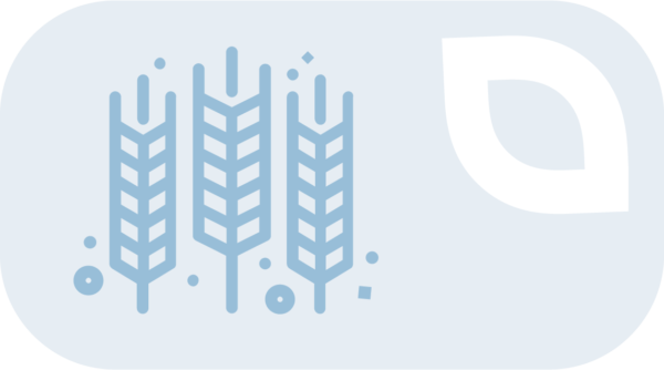 Žieminių augalų veislės